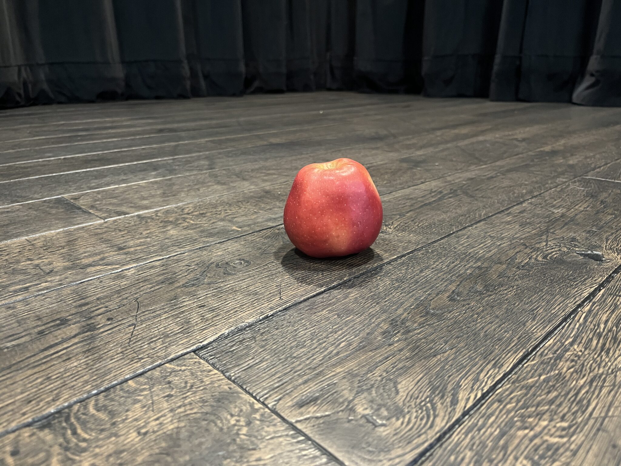 Nezralá jablka img 4054